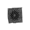 Bandana Paisley