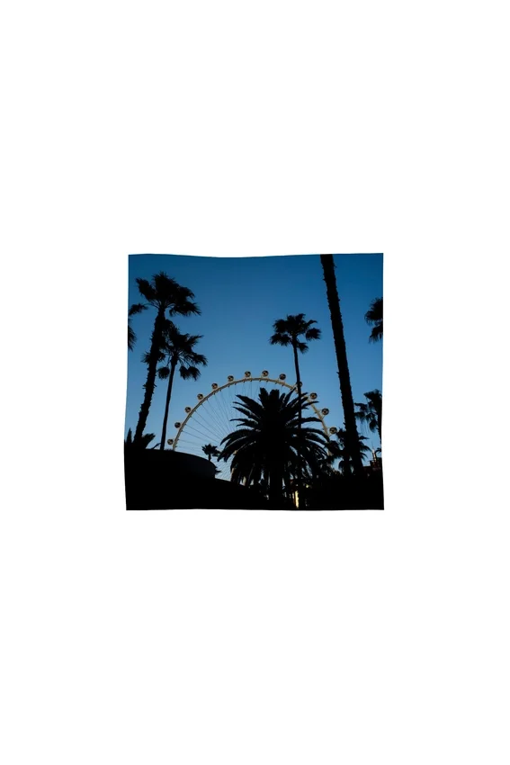 Bandana Purple X Blue Sky